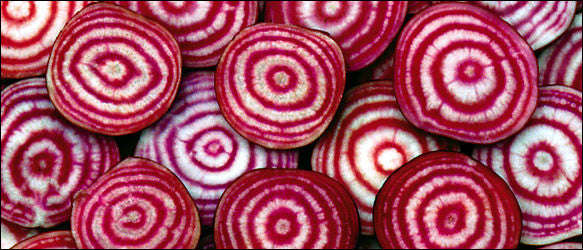 Chioggia Guardsmark Beetroot - Heirloom Vegetable - Beta Vulgaris - 30 Seeds