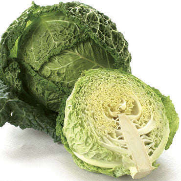 Savoy Cabbage - Brassica Oleracea - 50 Seeds