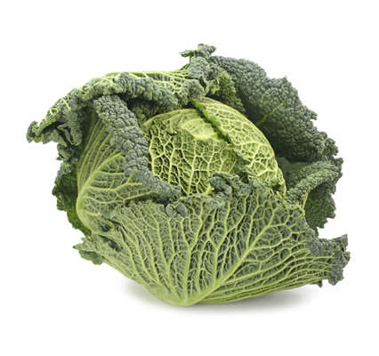 Savoy Cabbage - Brassica Oleracea - 50 Seeds