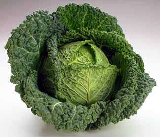 Savoy Cabbage - Brassica Oleracea - 50 Seeds