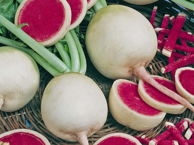 Watermelon Radish - Bulk Vegetable Seeds - 50 grams
