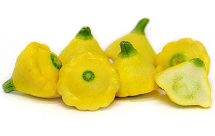 Yellow Scalloped Squash Patty Pan Squash - Cucurbita Pepo - Heirloom Vegetable - 5 Seeds