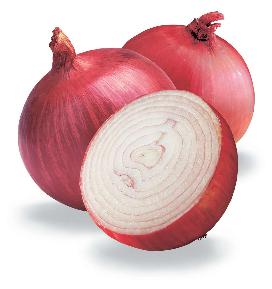 Red Chianti Onion - Hybrid - Allium Cepa - Vegetable - 25 Seeds