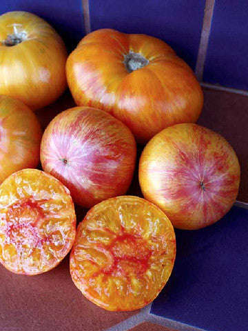 Big Rainbow Tomato - Lycopersicon Esculentum - Heirloom Vegetable - 10 Seeds