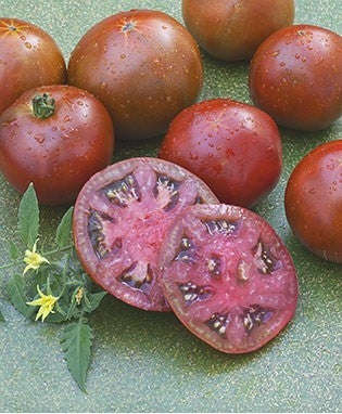 Black Prince Tomato - Lycopersicon Esculentum - Russian Heirloom Vegetable - 5 Seeds