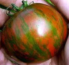 Rambling Red Stripe - Container Tomato - Trailing Vine - Lycopersicon Esculentum - 5 Seeds