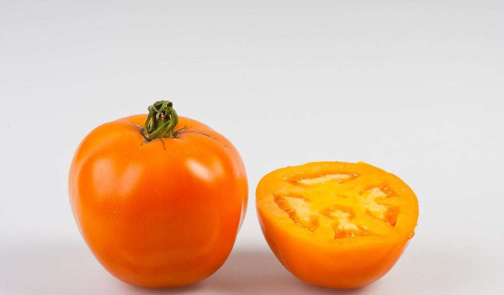 Valencia Tomato - Lycopersicon Esculentum - Heirloom Vegetable - 5 Seeds