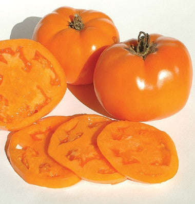 Valencia Tomato - Lycopersicon Esculentum - Heirloom Vegetable - 5 Seeds