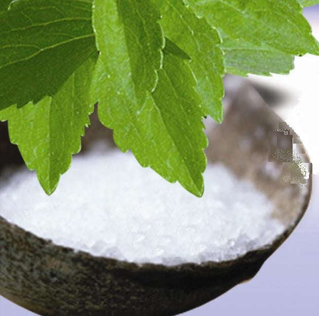 Stevia - Stevia Rebaudiana - 300 X Sweeter than Sugar - Herb - Seeds - 10 Seeds