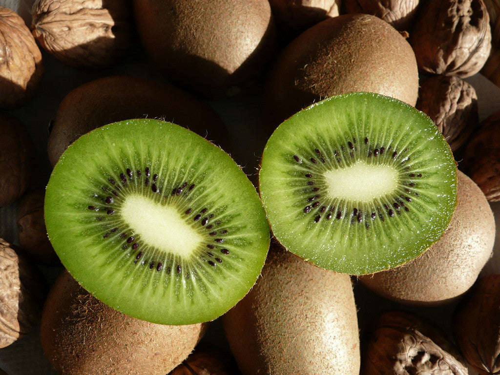 Kiwi Fruit - Bulk Fruit Seeds - 200 Seeds