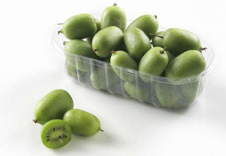 Actinidia arguta - Kiwi berry - Kiwi Fruit variety - Exotic Shrub - 5 Seeds