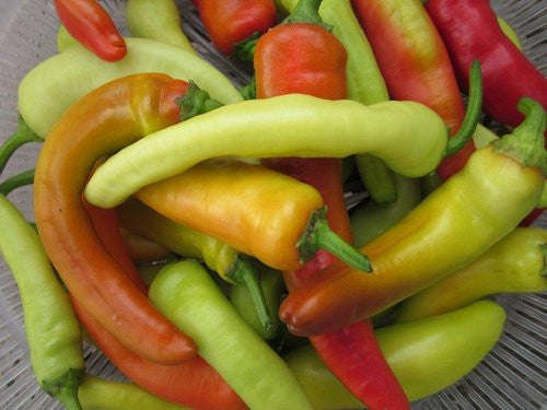 Hungarian Sweet Wax Pepper - Capsicum Annuum - Sweet Pepper Vegetable - 30 Seeds