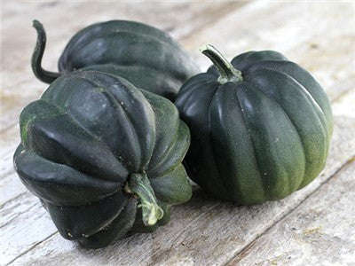 Table Queen Acorn Squash - ORGANIC - Heirloom Vegetable - 10 Seeds