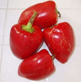 Pimientos Pepper - Capsicum Annuum - 20 Seeds