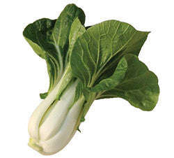 Chinese / Thai White Pak Choi / Bok Choy - Brassica Rapa Chinensis - 200 Seeds