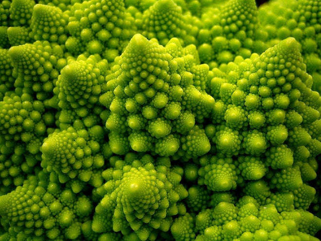 Romanesco Broccoli - Fractal Head Cauliflower - Brassica Oleracea - Exotic Vegetable - 100 Seeds