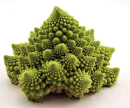 Romanesco Broccoli - Fractal Head Cauliflower - Brassica Oleracea - Exotic Vegetable - 100 Seeds