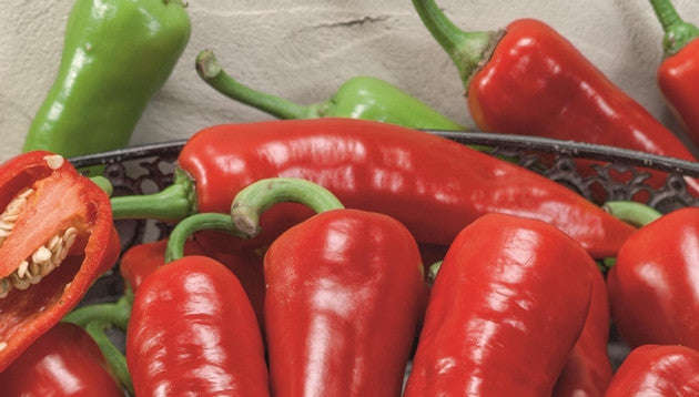 Giant Ristra Chilli Pepper - F1 Hybrid - Capsicum annuum - 5 Seeds