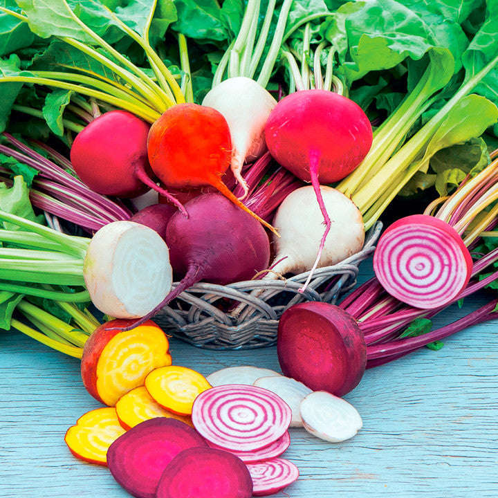 Rainbow Mix Beetroot - Beta Vulgaris - Heirloom Beet Blend - 25 Seeds