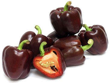 Chocolate Beauty Sweet Bell Pepper - Capsicum Annuum - Seeds - 10 Seeds