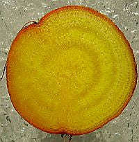 Burpees Golden Beetroot - Heirloom Vegetable - 30 Seeds