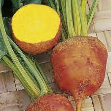 Burpees Golden Beetroot - Heirloom Vegetable - 30 Seeds