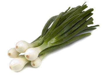 Crystal White Wax Pickling Onion - Heirloom Vegetable - 20 Seeds
