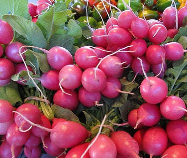 Pink Beauty Radish - Raphanus sativus - ORGANIC - Heirloom Vegetable - 50 Seeds