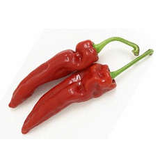 Capsicum Paprika - Capsicum Annuum - 20 Seeds