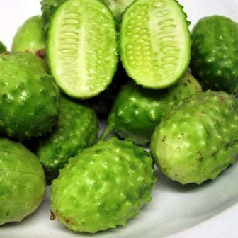 Cucumis Anguria - Indigenous South African Vine - 10 Seeds