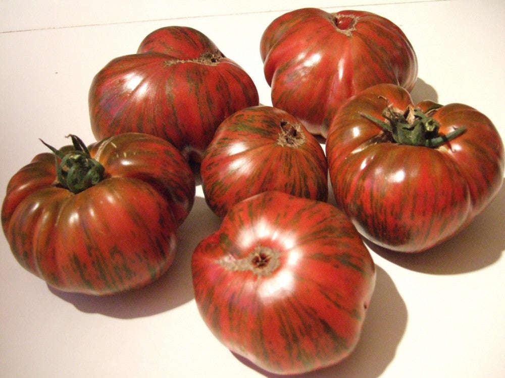 Chocolate Stripe Tomato - Lycopersicon Esculentum - Vegetables - 10 Seeds - ORGANIC