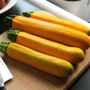 Easy Pick Golden Zucchini - Cucurbita pepo - 5 Seeds - The Patio Vegetable Collection