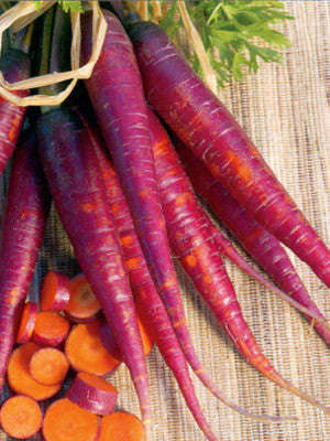 Cosmic Purple Carrot - Daucus Carrota - Heirloom Vegetable - 50 Seeds