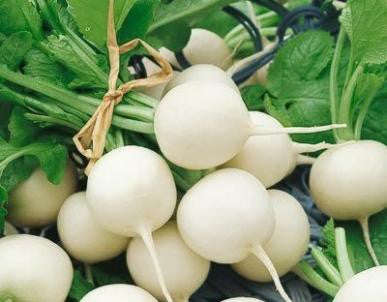 Hailstone Radish - Raphanus sativus - Heirloom Vegetable - 100 Seeds