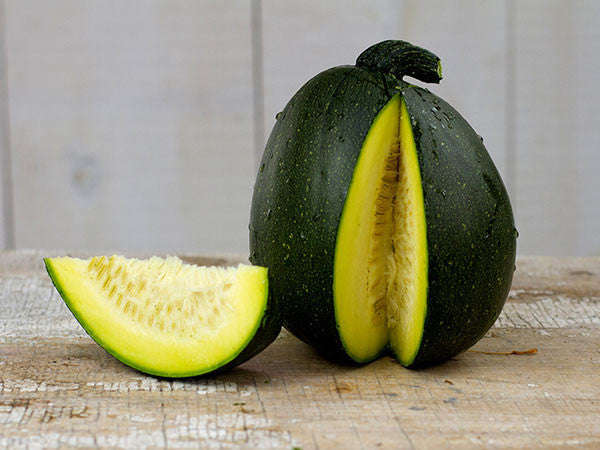 Tatume Squash - Mexican Heirloom Squash Vegetable - 10 Seeds