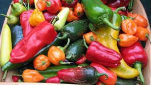 Wedding Favour Seeds - Mixed Chilli Seeds - Self Pack Option - 400 Seeds - 20 Guests x 20 Seeds