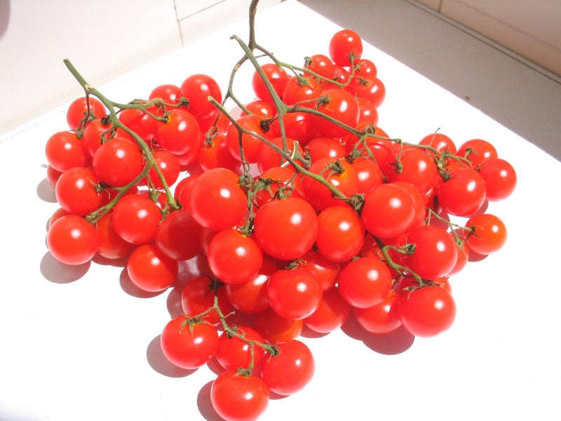 Riesentraube Grape Tomato - Cherry Tomato - Solanum lycopersicon - Heirloom Vegetable - 10 Seeds