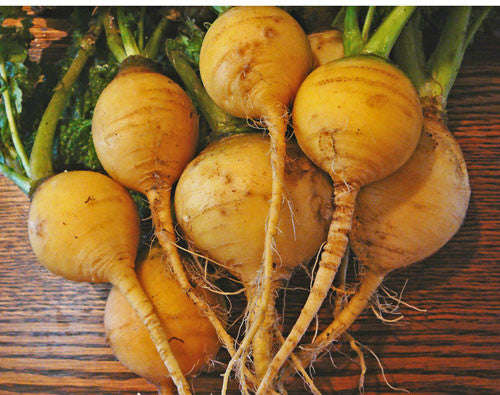 Golden Globe Turnip - Brassica rapa rapa - Heirloom Vegetable - 400 Seeds