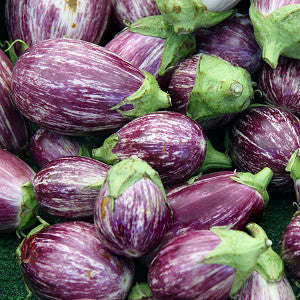 Pinstripe Eggplant - Solanum melongena - Vegetable - 5 Seeds - The Patio Vegetable Collection
