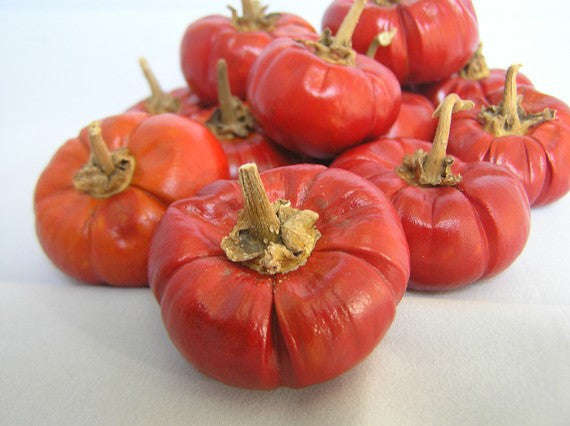 Pumpkin Chilli Pepper - Capsicum baccatum - 5 Seeds
