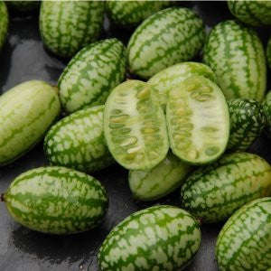 Mouse Melon - Cucamelon - Miniature Watermelon - Rare Fruit Vine - Melothria scabra - 5 Seeds