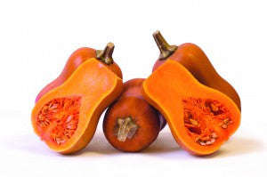 Honeynut - Mini Butternut Squash - 10 Seeds - The Patio Vegetable Collection