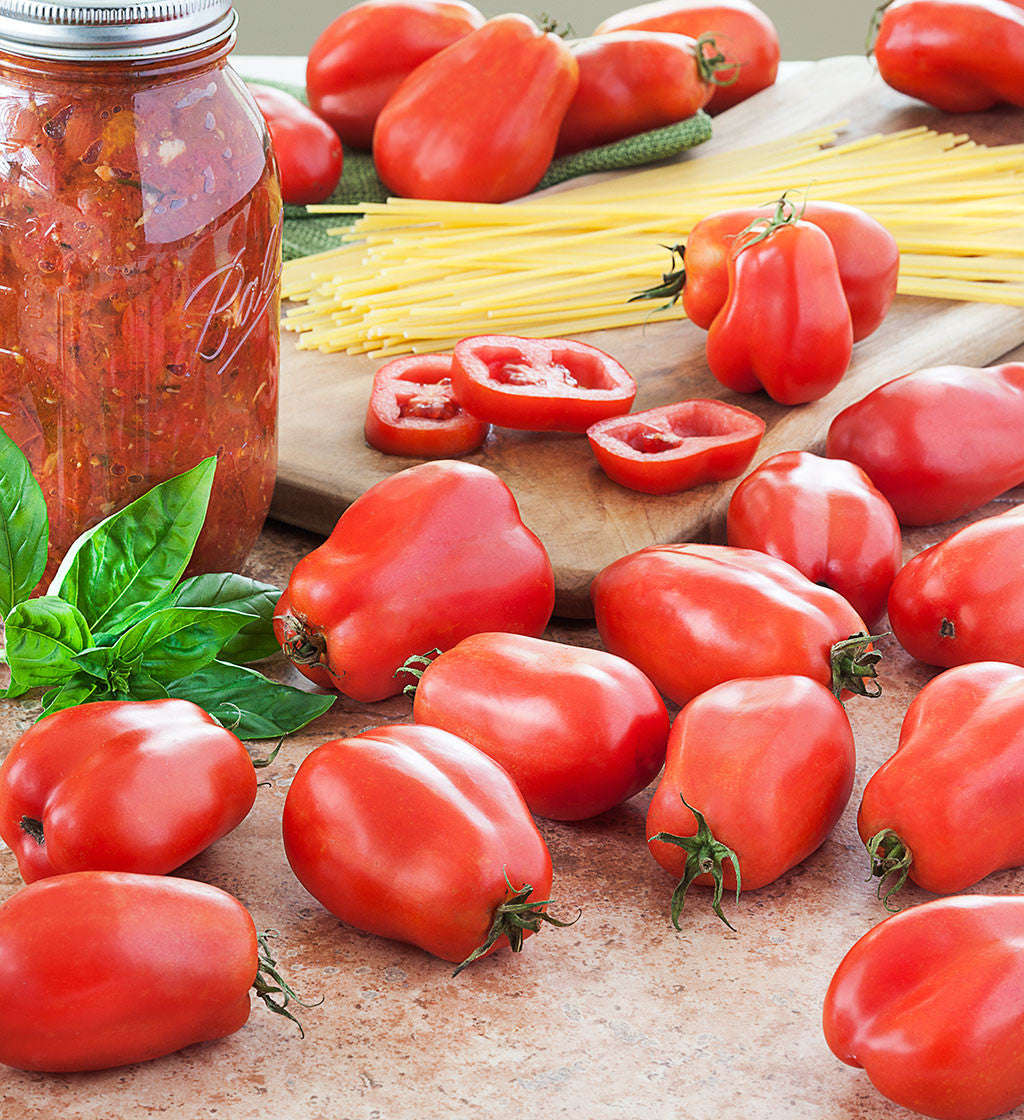 San Marzano Paste Tomato - Lycopersicon Esculentum - Vegetables - 10 Seeds - ORGANIC