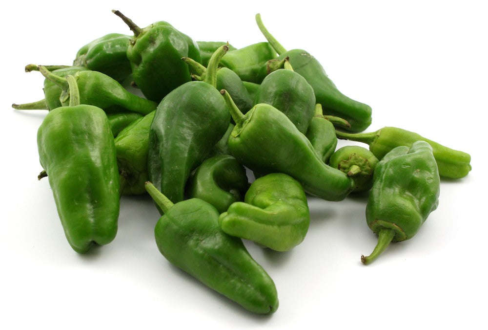Padron Hot Chilli Pepper - ORGANIC - Italian Heirloom Vegetable - 10 Seeds