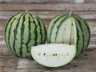 White Wonder Watermelon - ORGANIC - Heirloom Vegetable - 5 Seeds