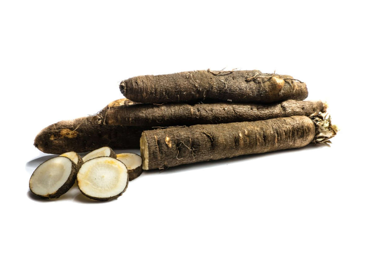 Black Salsify - Vegetable - Scorzonera hispanica - 5 Seeds