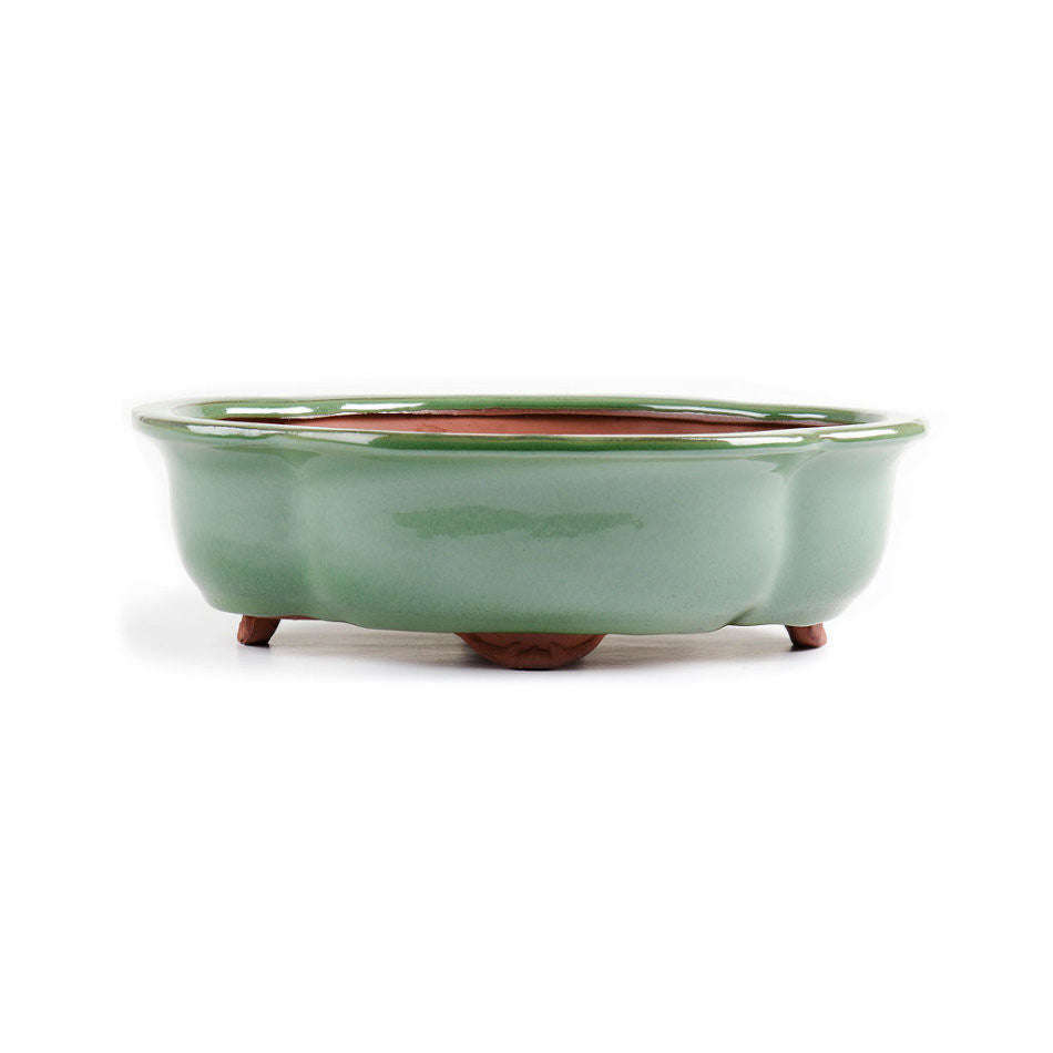 29cm x 22cm x 10cm - Glazed Bonsai Container - Green