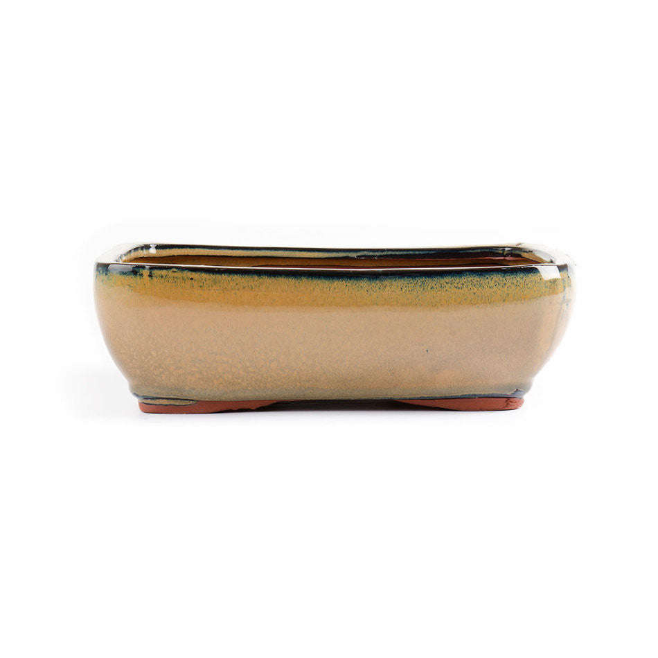26cm x 20cm x 8cm - Glazed Bonsai Container - Mustard