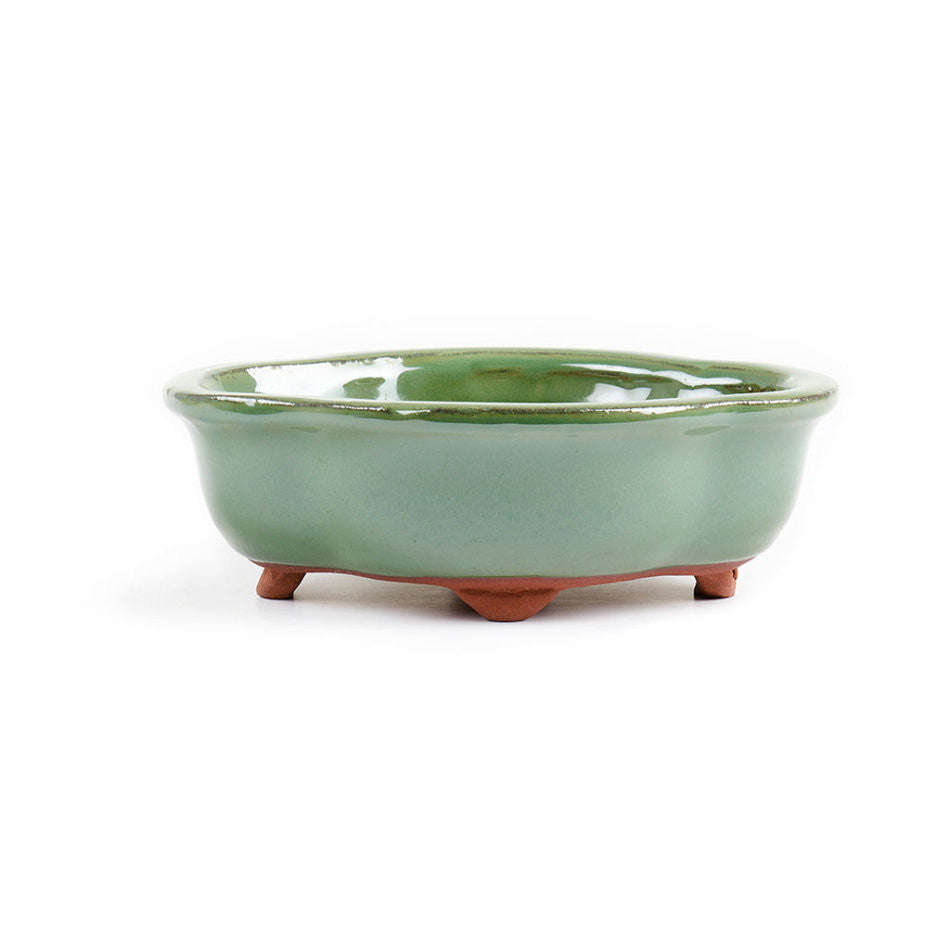 18cm x 14cm x 6cm - Glazed Bonsai Container - Green