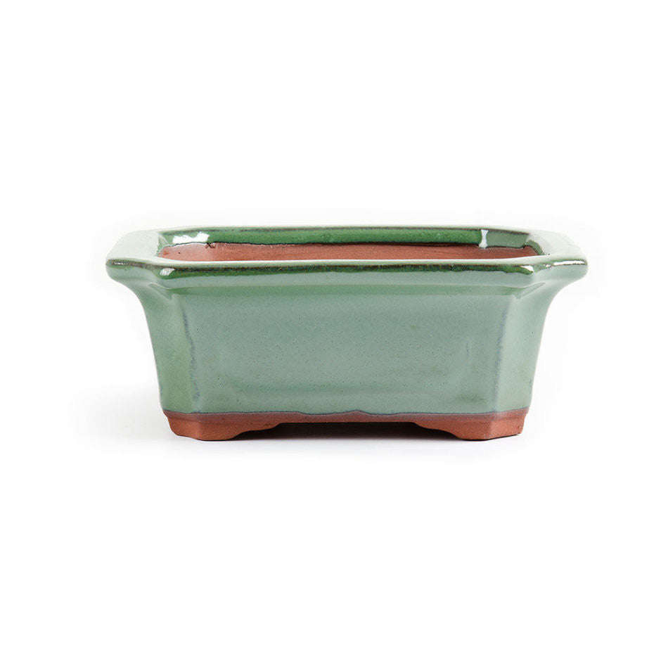 16cm x 12cm x 5.5cm - Glazed Bonsai Container - Forest Green